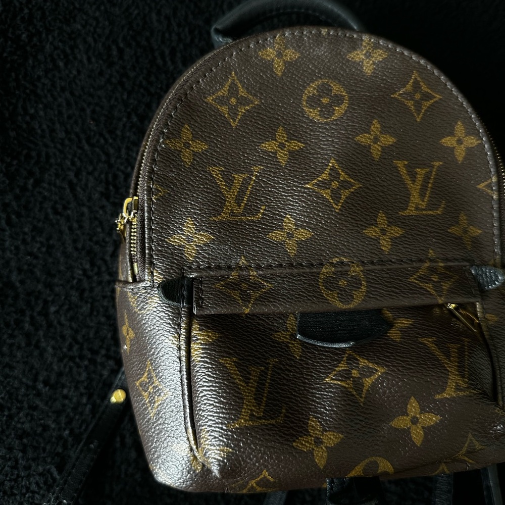 Louis Vuitton Palm Springs Mini Backpack Monogram Brown Leather Crossbody Bag - Picture 2 of 11